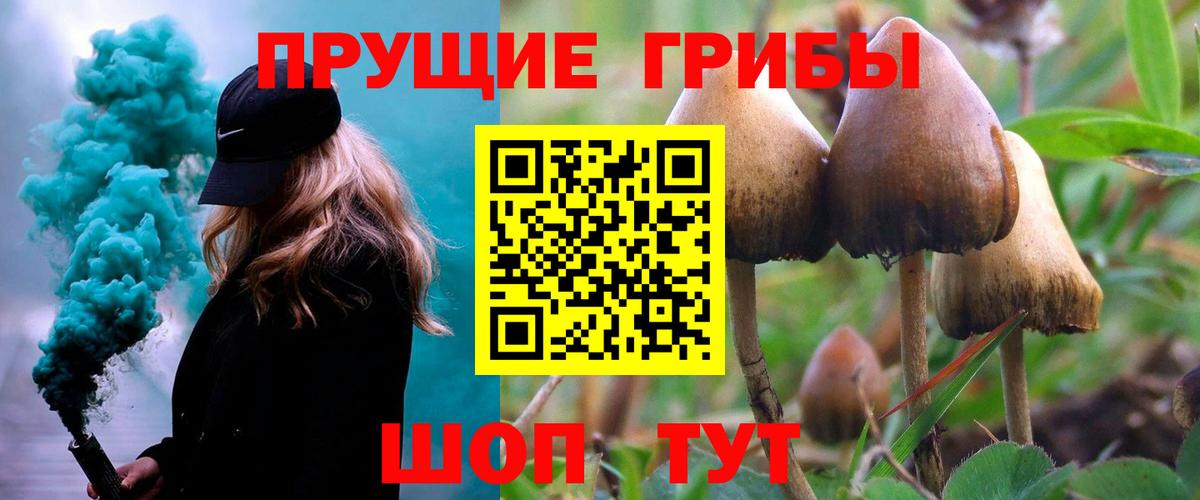 наркота  Галлюциногенные грибы ЛСД  Вход с VPN  Саяногорск 
